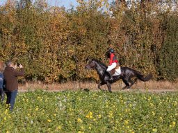 IMG_9823web